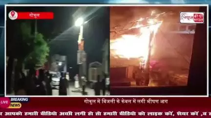 गोकुल में बिजली के केबल में लगी भीषण आग, मचा हड़कंप
#गोकुल #बिजली #केबल #भीषण #आग