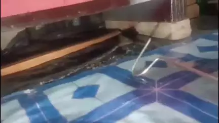 কৃষ্ণনগর ১: কালীরহাট কলোনি থেকে উদ্ধার বিষধর সাপ