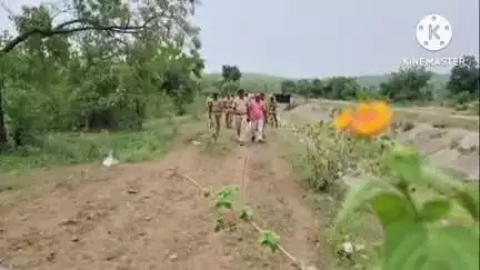 आर्वी: कार्तिकच्या शोधार्थ 231पोलिस, वन विभाग व इतरांनी पिंजून काढले पूर्ण मांडला जंगल.. छावणीचे स्वरूप