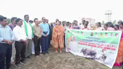 రైతులు మెరుగైన దిగుబడి పై దృష్టి సారించాలి జిల్లా కలెక్టర్ రాజకుమారి