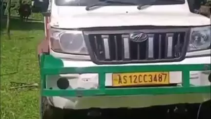 বোকাখাত: বাগৰি বন বিভাগৰ অভিযানত কাজিৰঙাৰ কাষৰীয়া কাঞ্চনজুৰিত অবৈধ কাঠভৰ্তি বাহন জব্দ, চালকক আটক