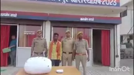 निघासन: पढ़ुआ थाना पुलिस ने 7.900 ग्राम अवैध गांजा बरामद कर एक आरोपी को पारस पुरवा से गिरफ्तार किया