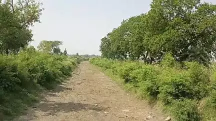 पट्टी: पट्टी तहसील में शारदा सहायक नहर में पानी न आने से किसान है बेहाल #jansamasya