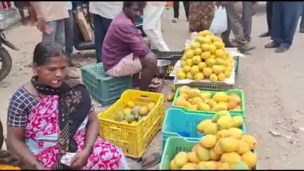 మామిడి రైతులను ఆదుకోవాలి :బేతంచెర్ల మండల సిపిఐ కార్యదర్శి భార్గవ్