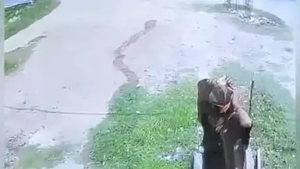 हरिद्वार: फेरूपुर में चोरों ने कपड़े की दुकान में गल्ले पर किया हाथ साफ, सीसीटीवी में कैद हुई वारदात, वीडियो हुआ वायरल