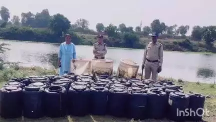 मनावर: मनावर क्षेत्र में आबकारी विभाग की कार्रवाई, ₹6.64 लाख की अवैध शराब जब्त