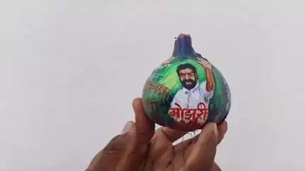 बागलाण: बच्चुभाऊ कडू यांच्या अन्नत्याग उपोषण आंदोलनाला  बागलाणच्या शेतकऱ्यांचा पाठींबा, कांद्यावर काढली आंदोलनाची प्रतिमा