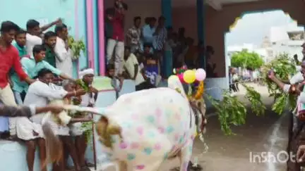 ఆదోని: పెద్ద తుంబలం లో ఎరువక పౌర్ణమి పండుగలో పాల్గొన్న, ఆదోని సబ్ కలెక్టర్ మౌర్య భరద్వాజ్
