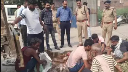 जगाधरी: जिले में कोर्ट के आदेश पर ड्यूटी मजिस्ट्रेट के सामने थाने में पकड़ी गई अवैध शराब नष्ट की गई