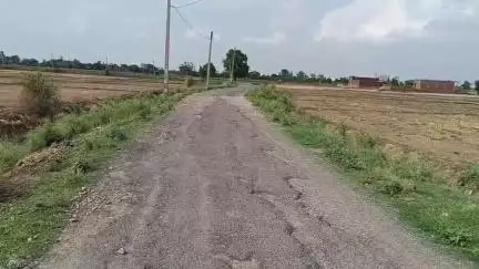 नोखा: नोखा प्रखंड के पड़वा गांव मोड़ से लेकर के पड़वा गांव तक जर्जर सड़क रहने से लोगों को में आक्रोश#jansamasya