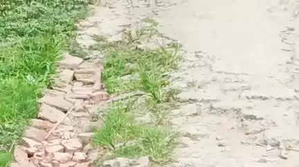 কুলতলি: গুড়গুড়িয়া ভুবনেশ্বরীর নকুলের মোড় এলাকায় বেহাল রাস্তা সমস্যায় স্কুল পড়ুয়া থেকে গর্ভবতী ও প্রসূতিরা # jansamasya