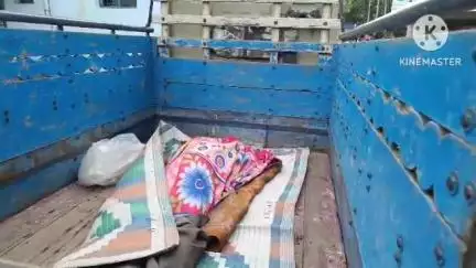 ডায়মন্ডহারবার ১: পাইক পাড়াতে পুকুরে ডুবে মৃত্যু বৃদ্ধার, পাঠানো হল ময়নাতদন্তে