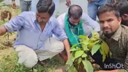 फारबिसगंज: राजद सुप्रीमो लालू प्रसाद यादव के जन्मदिन पर आयोजित हुआ वृक्षारोपण कार्यक्रम