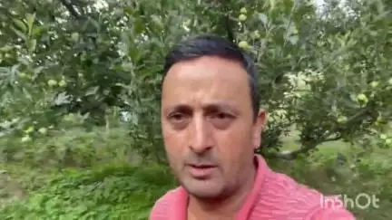 चिड़गांव: छौहारा वैली एप्पल सोसाइटी के अध्यक्ष संजीव ठाकुर ने कहा- सेबों में कलर की समस्या के लिए पोटाश का करें इस्तेमाल