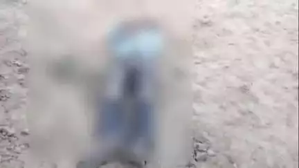 सिराथू: अझुवा में डिग्री कॉलेज के पीछे बंद पड़ी राइस मील के पास मिली युवक की लाश