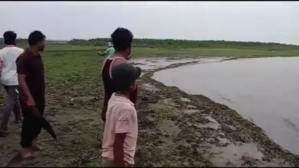 महागाव: तालुक्यातील डोंगरगाव, धारकान्हा पूस वेणी धरणात बुडल्याने १२२ जनावरे मृत्यू, शोधकार्य सुरू
