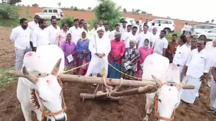 ప్యాపిలి మండలంలో పొలాన్ని దున్నిన ఎమ్మెల్యే కోట్ల జయ సూర్య ప్రకాష్ రెడ్డి