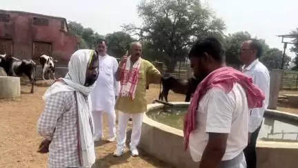 शिकोहाबाद: जिले की 5 गौशालाओं का गौ सेवा आयोग के सदस्य रमाकांत उपाध्याय ने किया औचक निरीक्षण