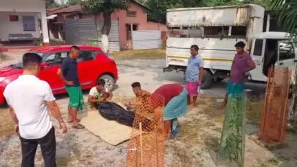 বাক্সা: শালবাৰীৰ কমলাবাৰীত ট্ৰেক্টৰৰ চেপাত থিতাতে নিহত চালক