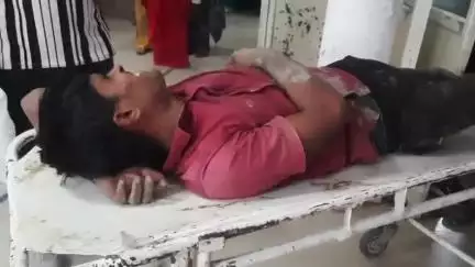 भिंड नगर: पांडरी रोड पर भैंस से टकराने से बाइक सवार दो लोग हुए घायल, इलाज जारी