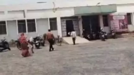 मझौली: बनिया टोला में 100 लोगों के भोजन करने के बाद कटहल की सब्जी में मिला सांप का बच्चा, अस्पताल की तरफ भागे लोग