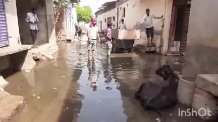 अंबाह: नगर पालिका परिषद वार्ड 17 में जलभराव से जनजीवन हुआ अस्त-व्यस्त, लोग बोले- गंदगी में जीना मजबूरी #jansamasya