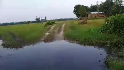 বিহপুৰীয়া: নৱপুৰ নামঘৰৰ পৰা উদয়পুৰ সংযোগী পথত এজাক বৰষুণ দিলে সৃষ্টি হয় পুখুৰী সদৃস পৰিবেশ, সমস্যাত পৰিছে অঞ্চলবাসী #jansamasya
