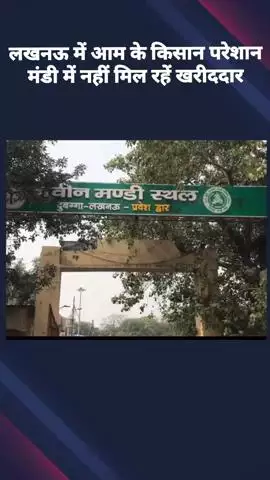 जिले में किसानों को मंडी में नहीं मिल रहे आम के खरीददार, किसान परेशान #jansamasya
