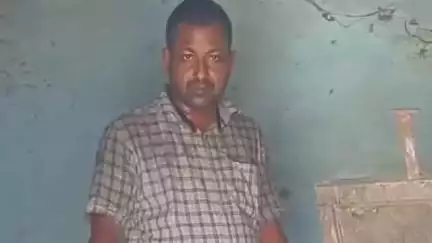 सरायकेला: मोहितपुर ऊपर टोला में घर में घुसा सांप, मुर्गी मारकर तीन अंडे निगले, रेस्क्यू किया गया