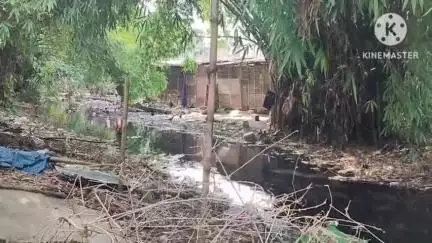 পশ্চিম যোৰহাট: পাব্লিক এপৰ জনসমস্যাৰ বাতৰিৰ প্ৰভাৱ , অচিৰেই টোকলাই জান বেদখল মুক্ত কৰি আৱৰ্জনা মুক্ত কৰিব পৌৰসভাই #jansamasya