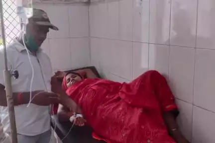 सहावर: प्रतापपुर की महिला को सर्प ने डंसा, जिला अस्पताल में उपचार जारी