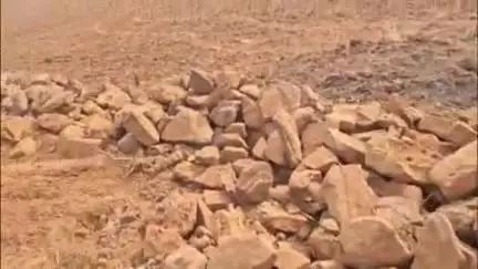 तेंदूखेड़ा: जामुन बीट के आरएफ 222, 223 की वन भूमि से अवैध अतिक्रमण हटाया गया