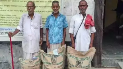 সীতাই: সিতাইয়ে ব্লক কৃষি দপ্তরের উদ্যোগে জলমগ্ন-সহনশীল "রঞ্জিত সাব-১" ধানের প্রদর্শনী চাষ