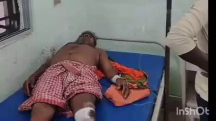 जामताड़ा: भैयाडीह में ज़मीन विवाद में दो पक्षों में मारपीट, एक व्यक्ति गंभीर घायल