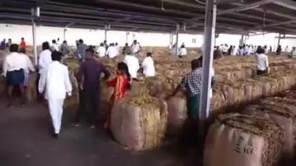 పొగాకు రైతులకు గిట్టుబాటు ధర కల్పించేందుకు ప్రభుత్వం సిద్ధంగా ఉంది. జిల్లా కలెక్టర్ మరియు మంత్రులు