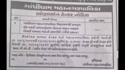 ગાંધીધામ: રખડતા ઢોરનો ત્રાસ યથાવત રહેતા કોર્પોરેશન દ્વારા રિ-ટેન્ડર