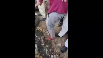 लालसोट: लालसोट शहर के रामदेव मंदिर के समीप टायर फटने से बेकाबू ट्रैक्टर-ट्रॉली पलटी, लोगों ने चालक को सुरक्षित बाहर निकाला
