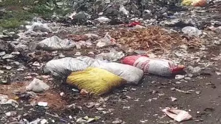 वर्धा: दत्तपूर बायपास परिसरात कचऱ्याच्या ढिगार्‍यामुळे सर्वत्र दुर्गंधी; विल्हेवाट लावण्याची नागरिकांची मागणी #Jansamasya