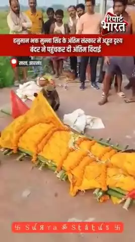 *हनुमान भक्त के अंतिम संस्कार में पहुंचा एक बंदर*