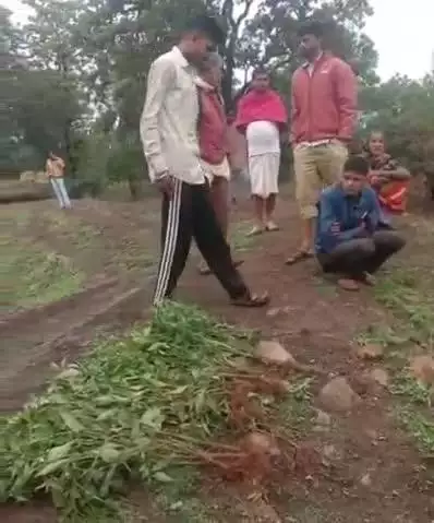 बगीचा: बगीचा थाना क्षेत्र के चौकी पण्ड्रापाठ के ग्राम बेलवार में खेत में लगे मिर्च के फसल को गांव के 3 लोगों ने उखाड़ फेंका