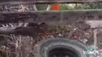 मावली: मावली में फतेहनगर रोड स्थित शिव मंदिर में चोरों ने दान पेटी चुराई, वारदात सीसीटीवी में कैद हुई
