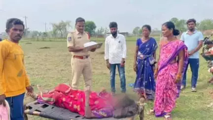 సిర్పూర్ టి: మొగడు దగడ్ గ్రామంలో బావిలో దూకి మహిళా ఆత్మహత్య, కేసు నమోదు చేసి దర్యాప్తు చేస్తున్న పోలీసులు