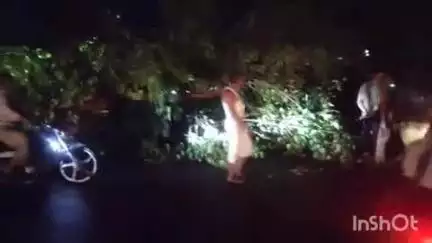 हरसूद: बुधवार शाम को तेज हवा और आंधी से नया हरसूद छनेरा में तबाही, कई पेड़ गिरे