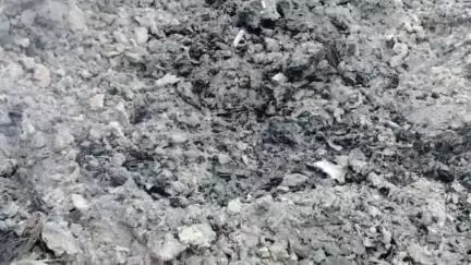 मोतिहारी: मोतिहारी FSL टीम ने भोपतपुर थाना अंतर्गत संदिग्ध हत्या व शव जलाने के मामले में घटनास्थल पर किया जांच
