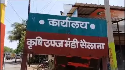 सैलाना: कृषि उपज मंडी सैलाना में आज गेहूं ₹2000 से ₹3011 प्रति क्विंटल बिका