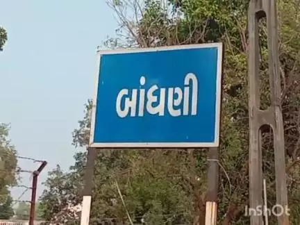 પેટલાદ: બાંધણીના જેડવાપુરા વિસ્તારમાંથી વિદેશી દારૂના કવાટરીયા ઝડપાતા કાર્યવાહી કરાઈ