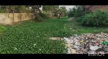 नबीनगर: नवीनगर स्थित ऐतिहासिक पुनपुन नदी में भरी गंदगी, उठ रही दुर्गंध