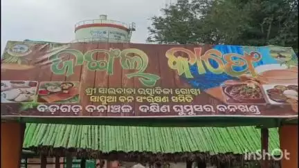 ସୋରଡା: ମହିଳା ମାନଙ୍କୁ ସଶକ୍ତ କରିବା ପାଇଁ ବନବିଭାଗ ପକ୍ଷରୁ ଖୋଲାଗଲା ଜଙ୍ଗଲ କାଫେ ର ଶୁଭ ଉଦ୍ଧଘାଟନ କଲେ ସୋରଡ଼ା ବିଧାୟକ