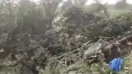 बिसवां: अमलोरा गांव के पास अज्ञात वाहन की टक्कर से बैलगाड़ी के परखच्चे उड़े, एक मवेशी की मौत और चालक की हालत गंभीर