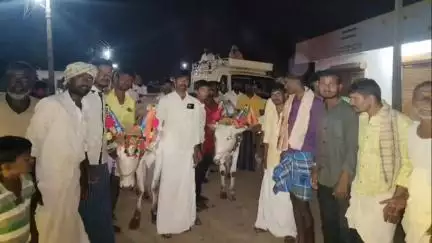 ಯಲಬರ್ಗ: ಕಾರು ಹುಣ್ಣಿಮೆ ನಿಮಿತ್ತ ಎತ್ತುಗಳಿಂದ ಕರಿ ಹರಿಯುವ ಆಚರಣೆ